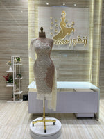 Load image into Gallery viewer, EMD.113