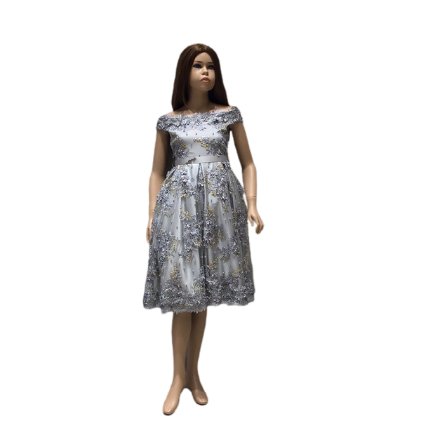 
فستان اطفال (بناتي) قصير 
شانتيل ورود اللون رمادي اكمام كت (يمكن تركيب اكمام) متوفر للاستلام الفوري او التوصيل (التوصيل مجاني للمشتريات الاونلاين). 
 