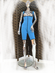 A shimmering, silver, sleeveless gown with a flowing skirt, perfect for a formal event.exclamation